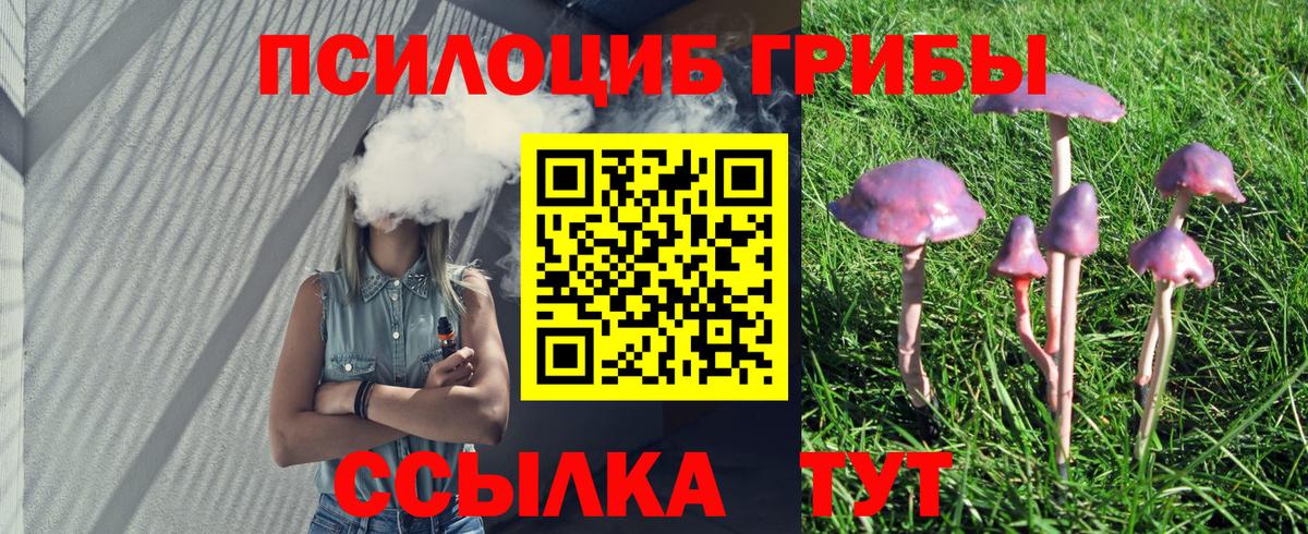 Псилоцибиновые грибы Cubensis  Вход с VPN  Псилоцибиновые грибы мицелий  Моздок 